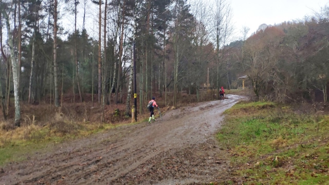 Barborská cesta
