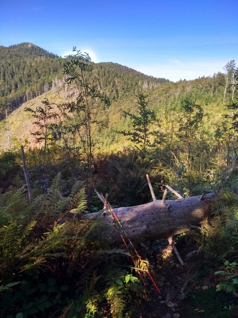 Veľká Fatra 2020