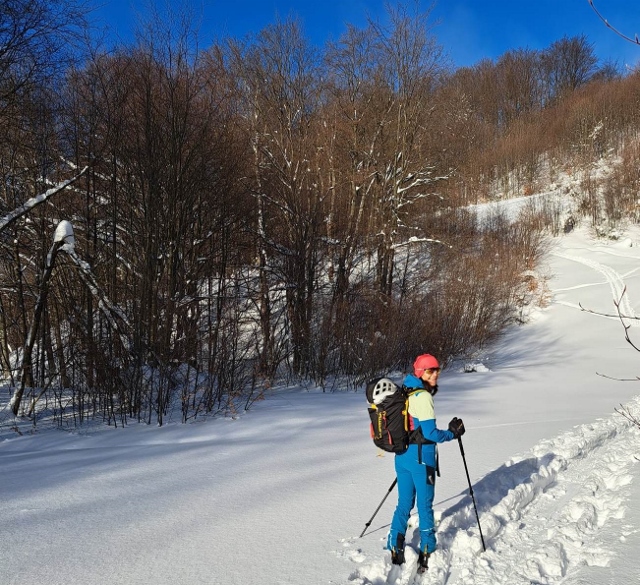 SVF_01-640x585.jpg