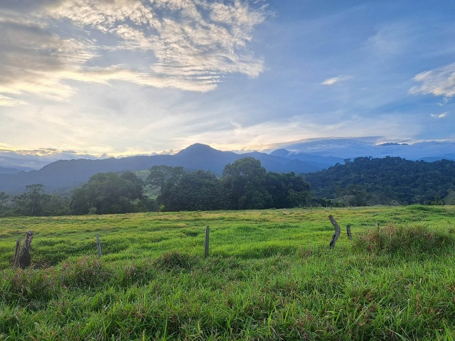 Venezuela Venezuela III 14 máj 2023