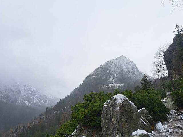 Nosičská stovka Nosičská stovka 5 november 2023