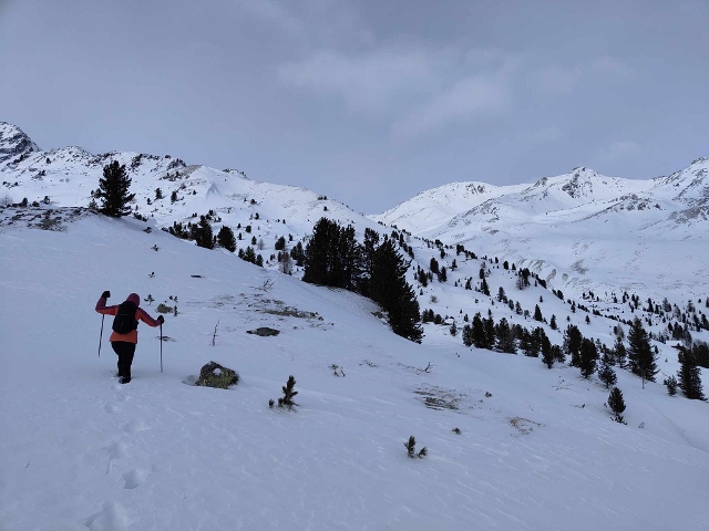 Südtirol Südtirol 30 december 2023