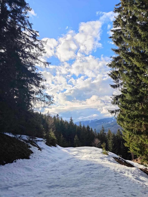 Graubünden Graubünden 14 marca 2024