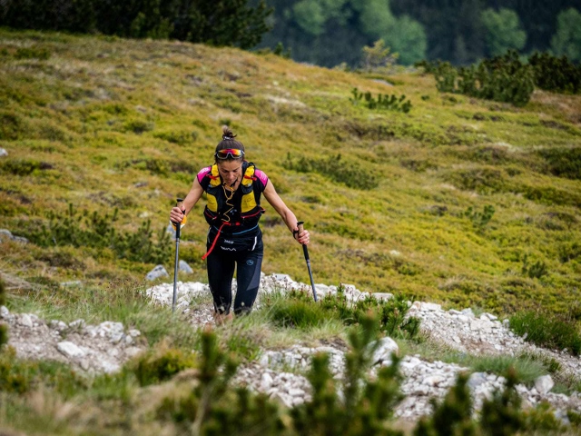 Julbo Julbo 2024