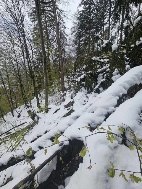 Lago di Como a Graubünden 20 apríl 2024