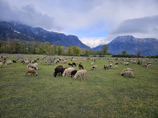 Lago di Como a Graubünden 20 apríl 2024