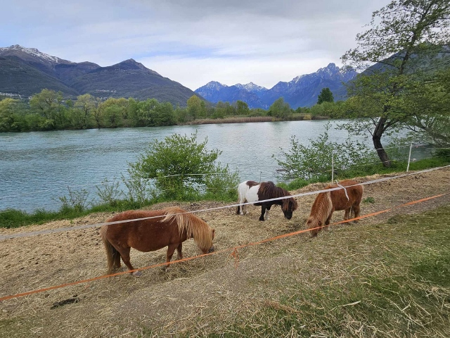 Lago di Como a Graubünden 20 apríl 2024
