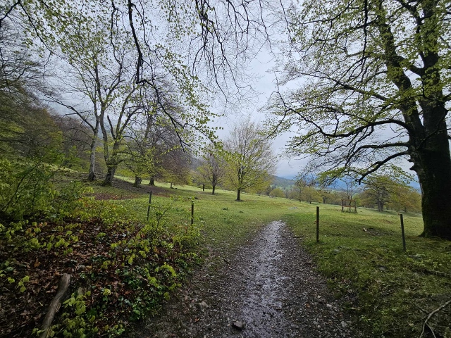 Lago di Como a Graubünden 20 apríl 2024