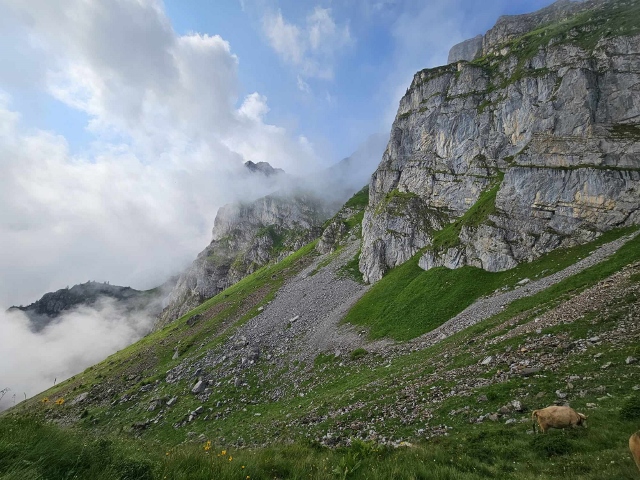 Crossing Switzerland