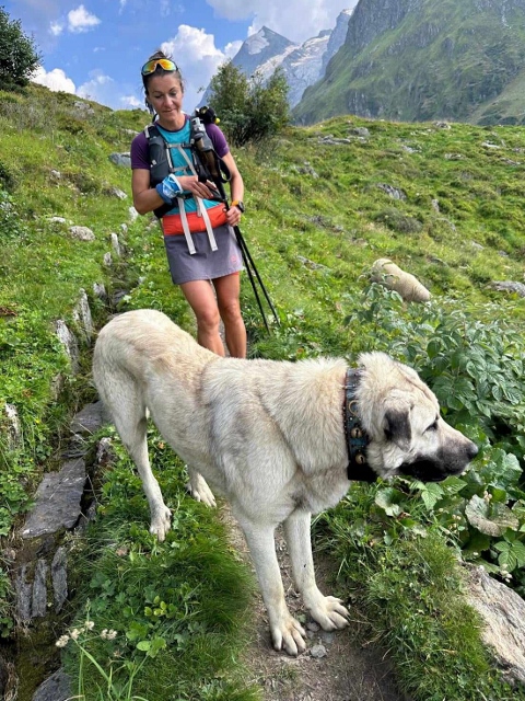 UTMB PTL UTMB PTL 2024