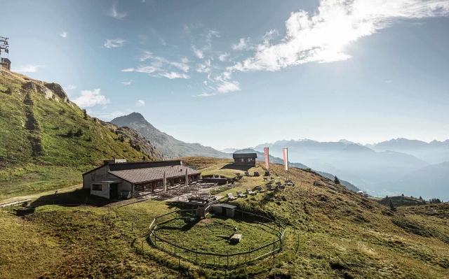 Swiss Swiss Alps 160 8 August 2025