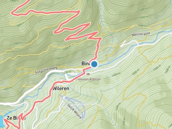 Swiss Swiss Alps 160 8 August 2025