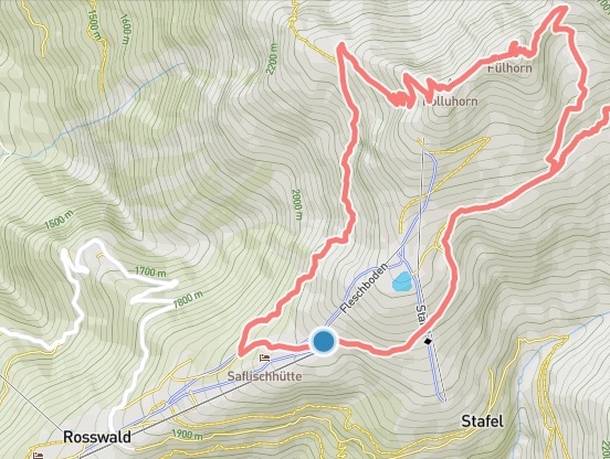Swiss Swiss Alps 160 8 August 2025