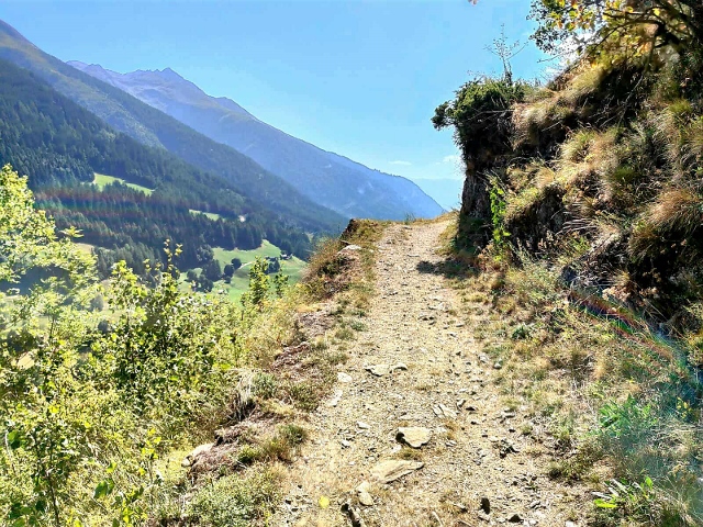 Swiss Swiss Alps 160 8 August 2025
