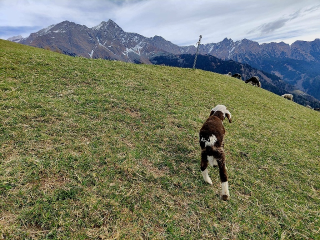 Ötzi Trail Run April 2025